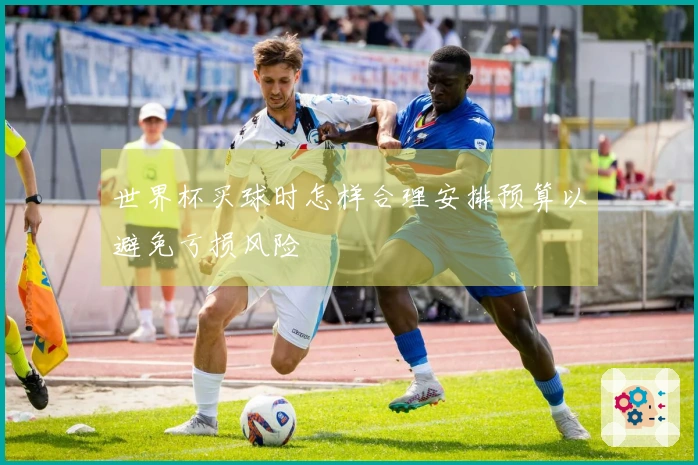 世界杯买球时怎样合理安排预算以避免亏损风险