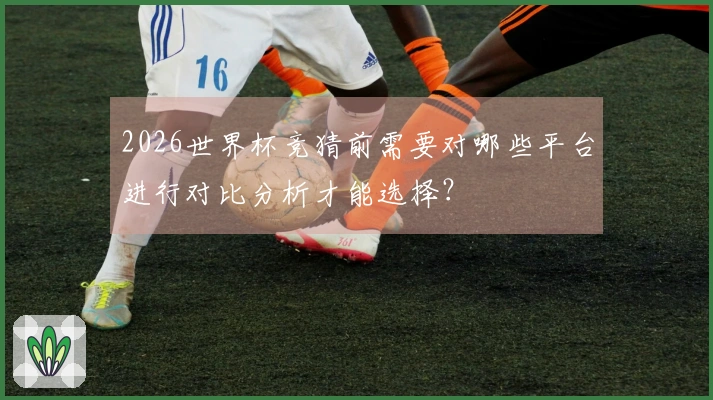 2026世界杯竞猜前需要对哪些平台进行对比分析才能选择？