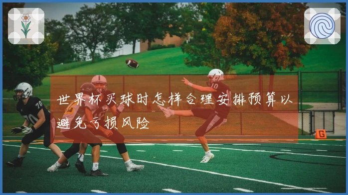 世界杯买球时怎样合理安排预算以避免亏损风险