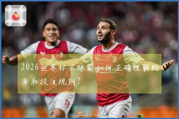 2026世界杯买球前如何正确理解赔率和投注规则？