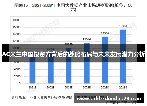 AC米兰中国投资方背后的战略布局与未来发展潜力分析