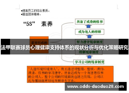 法甲联赛球员心理健康支持体系的现状分析与优化策略研究