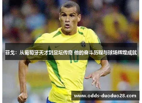 菲戈：从葡萄牙天才到足坛传奇 他的奋斗历程与球场辉煌成就