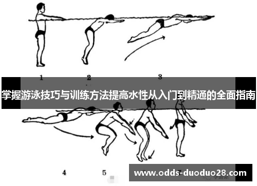 掌握游泳技巧与训练方法提高水性从入门到精通的全面指南