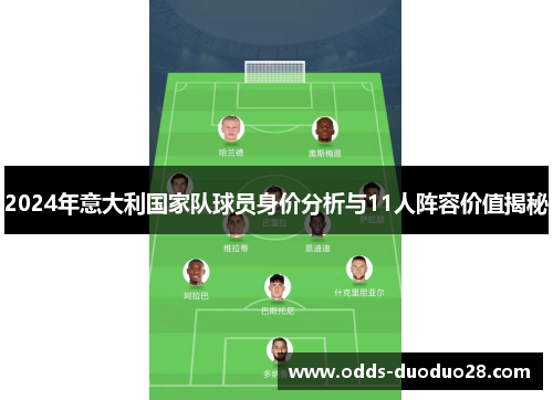2024年意大利国家队球员身价分析与11人阵容价值揭秘