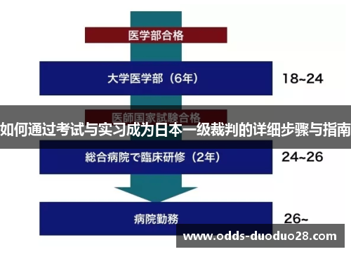 如何通过考试与实习成为日本一级裁判的详细步骤与指南