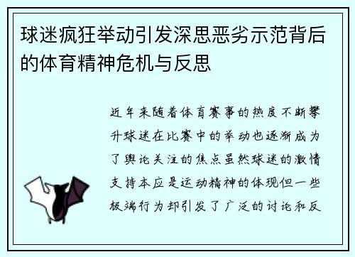 球迷疯狂举动引发深思恶劣示范背后的体育精神危机与反思