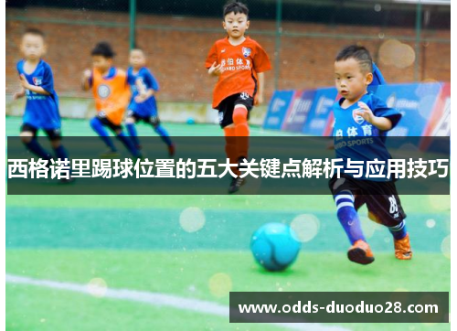 西格诺里踢球位置的五大关键点解析与应用技巧